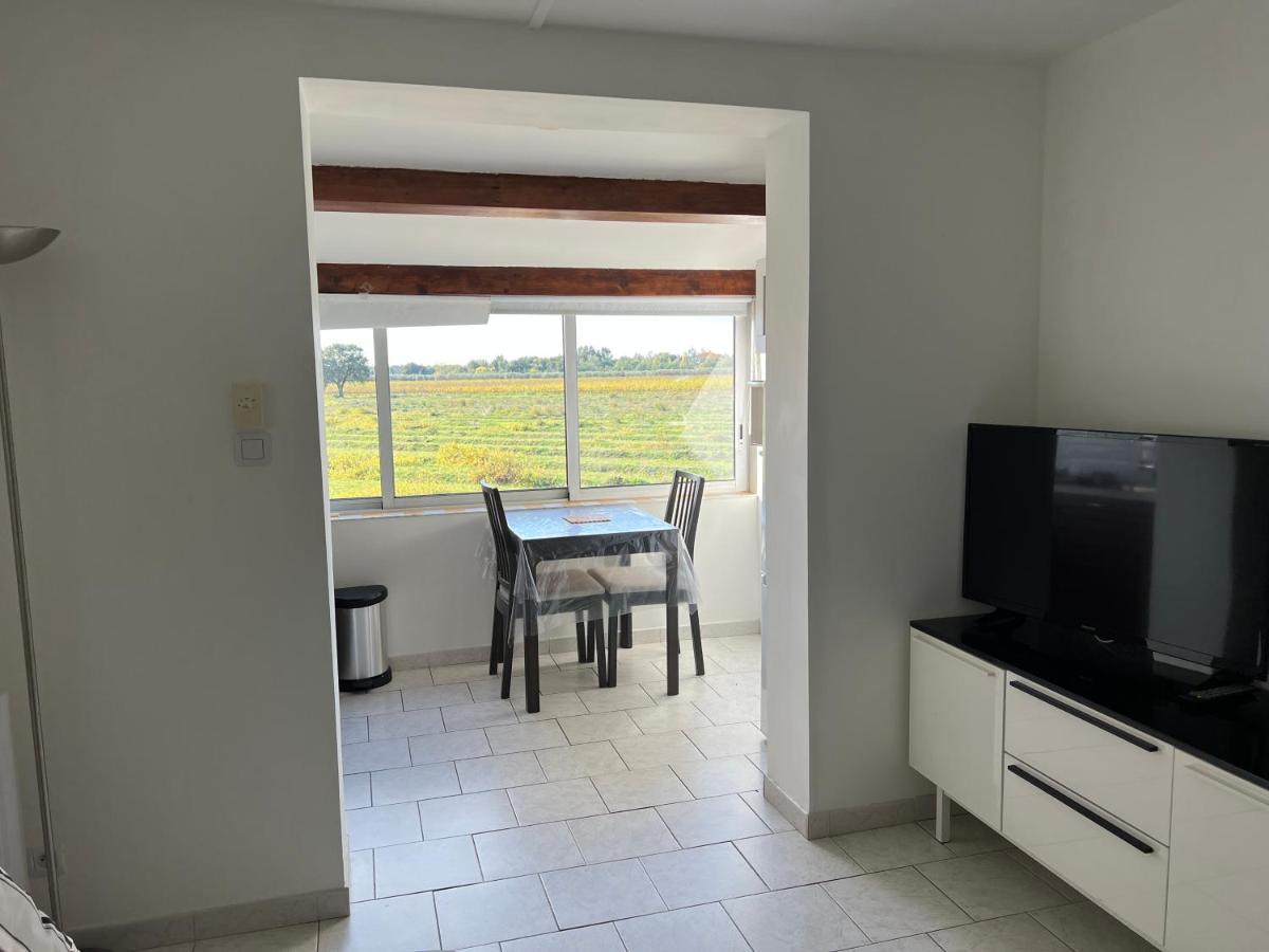Joli Studio Tres Clair A Proximite Mer Pour 3 Personnes La Londe-les-Maures Esterno foto