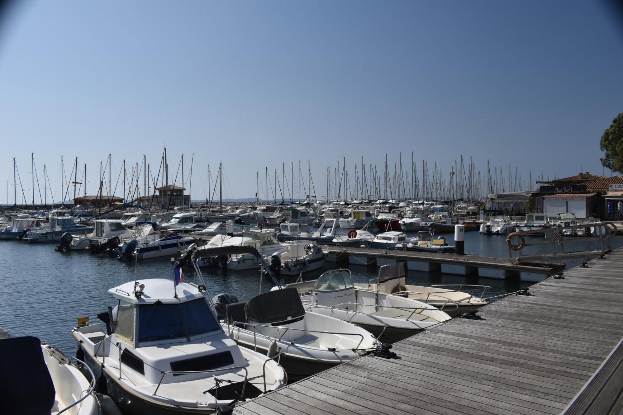 Joli Studio Tres Clair A Proximite Mer Pour 3 Personnes La Londe-les-Maures Esterno foto