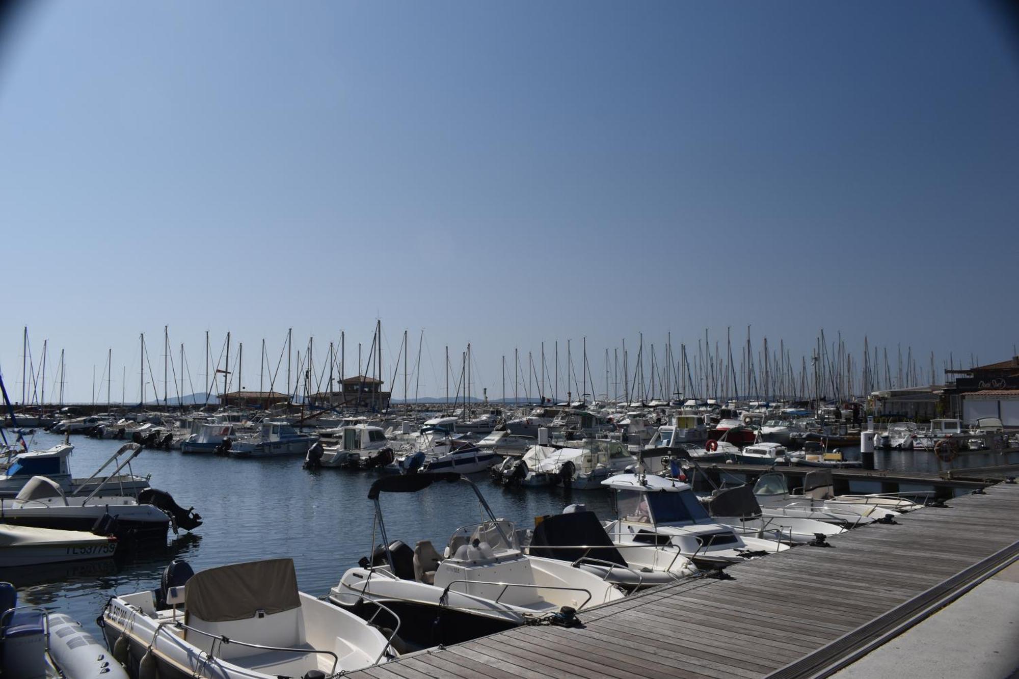 Joli Studio Tres Clair A Proximite Mer Pour 3 Personnes La Londe-les-Maures Esterno foto