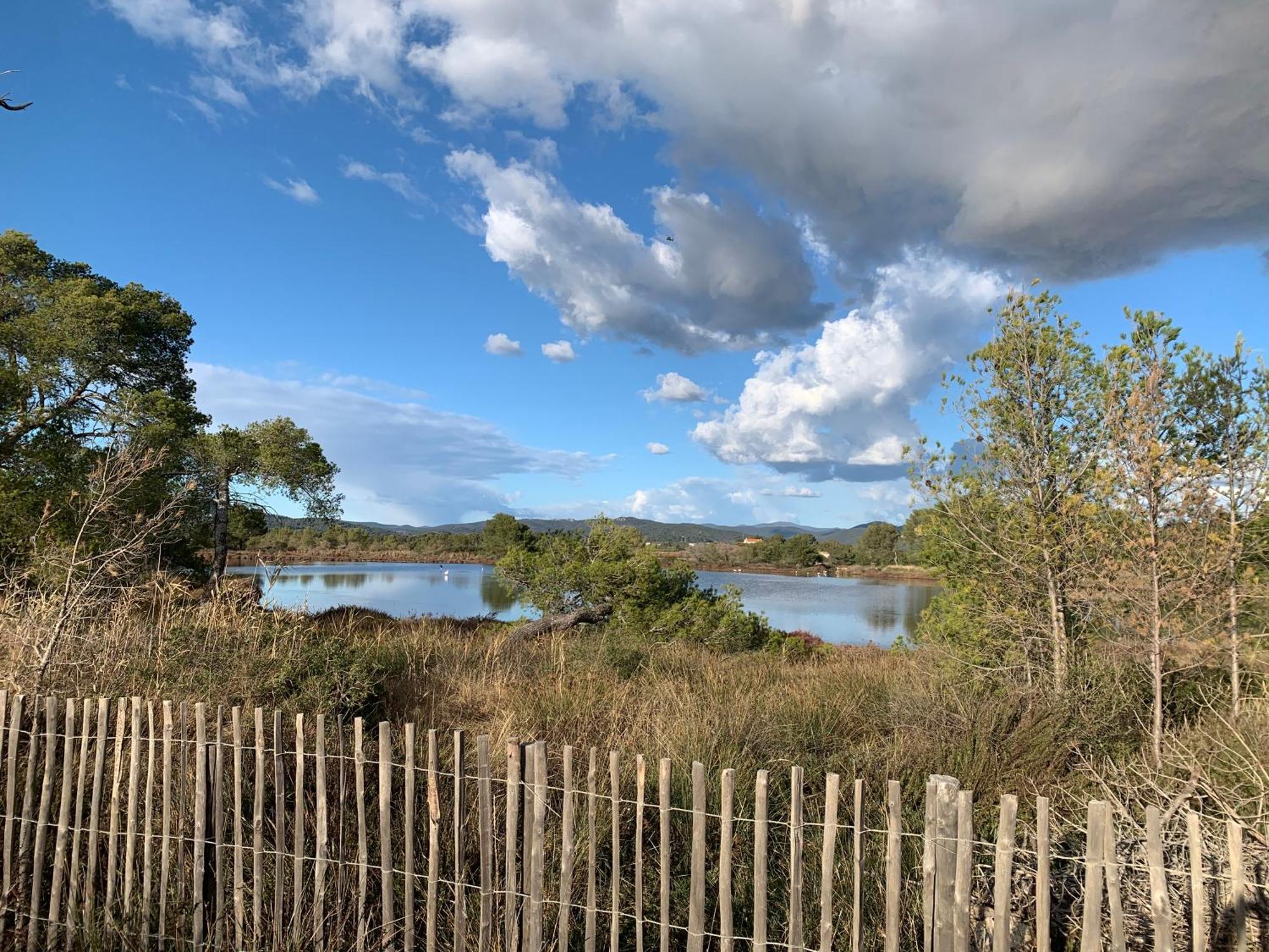 Joli Studio Tres Clair A Proximite Mer Pour 3 Personnes La Londe-les-Maures Esterno foto