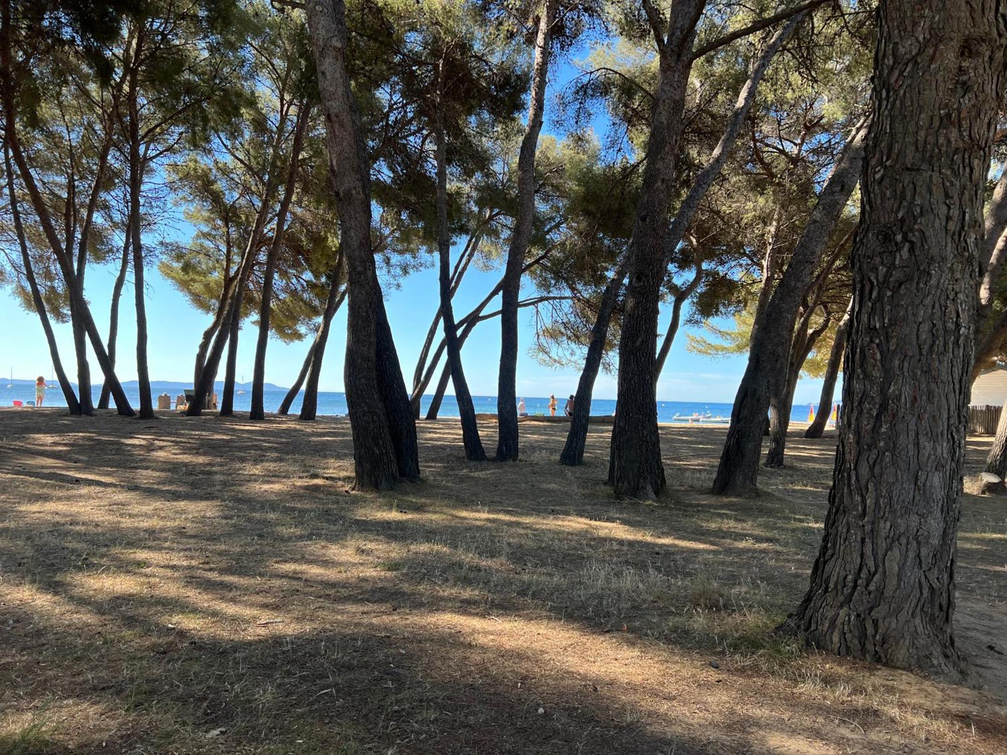 Joli Studio Tres Clair A Proximite Mer Pour 3 Personnes La Londe-les-Maures Esterno foto