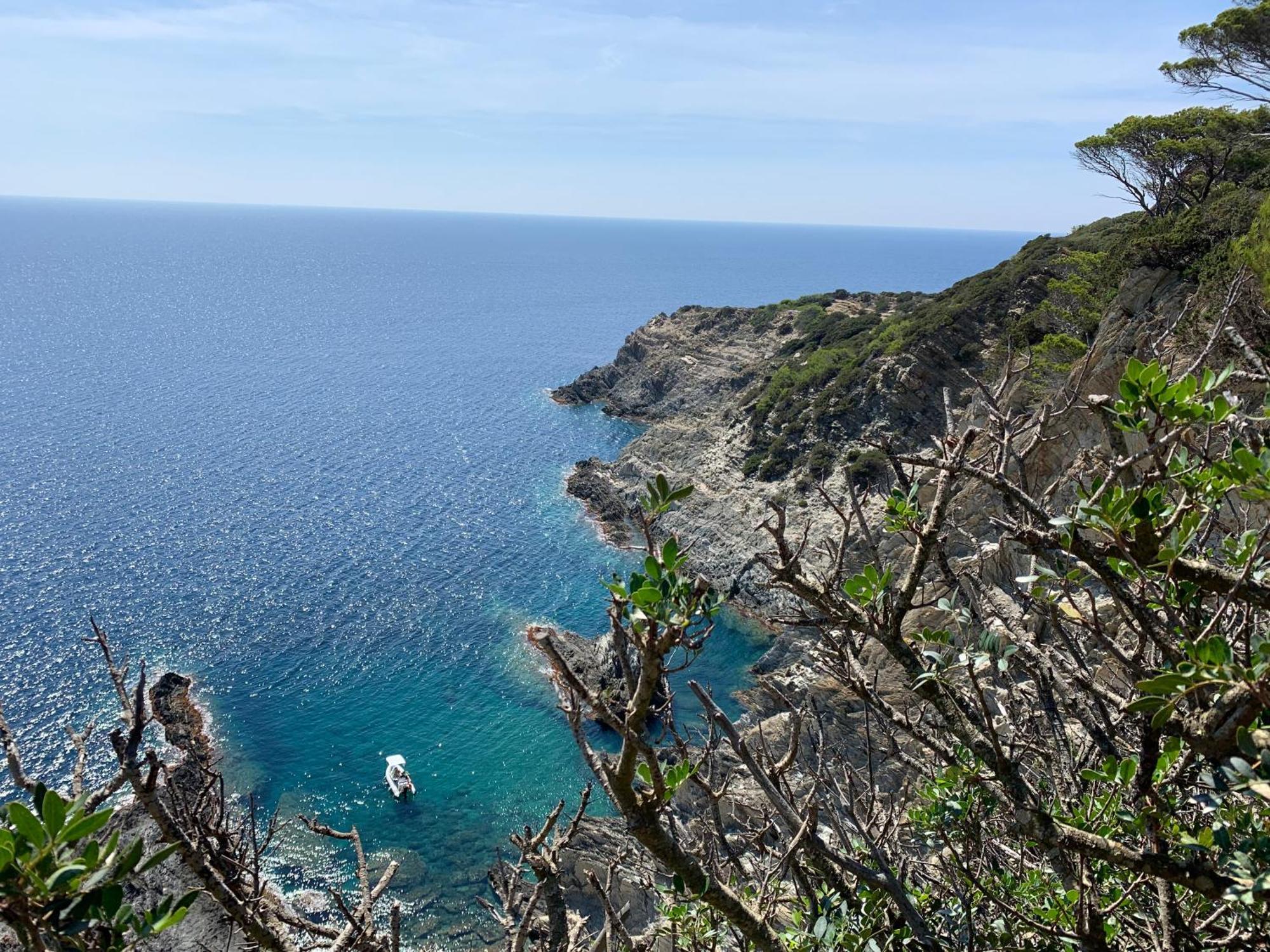 Joli Studio Tres Clair A Proximite Mer Pour 3 Personnes La Londe-les-Maures Esterno foto
