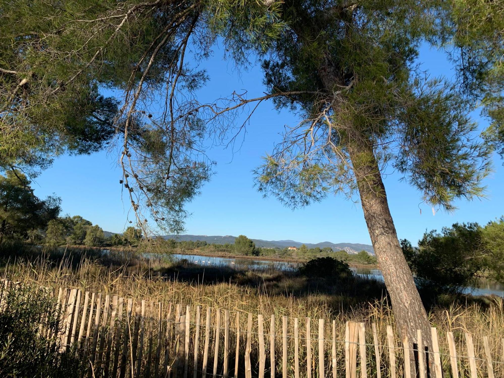 Joli Studio Tres Clair A Proximite Mer Pour 3 Personnes La Londe-les-Maures Esterno foto
