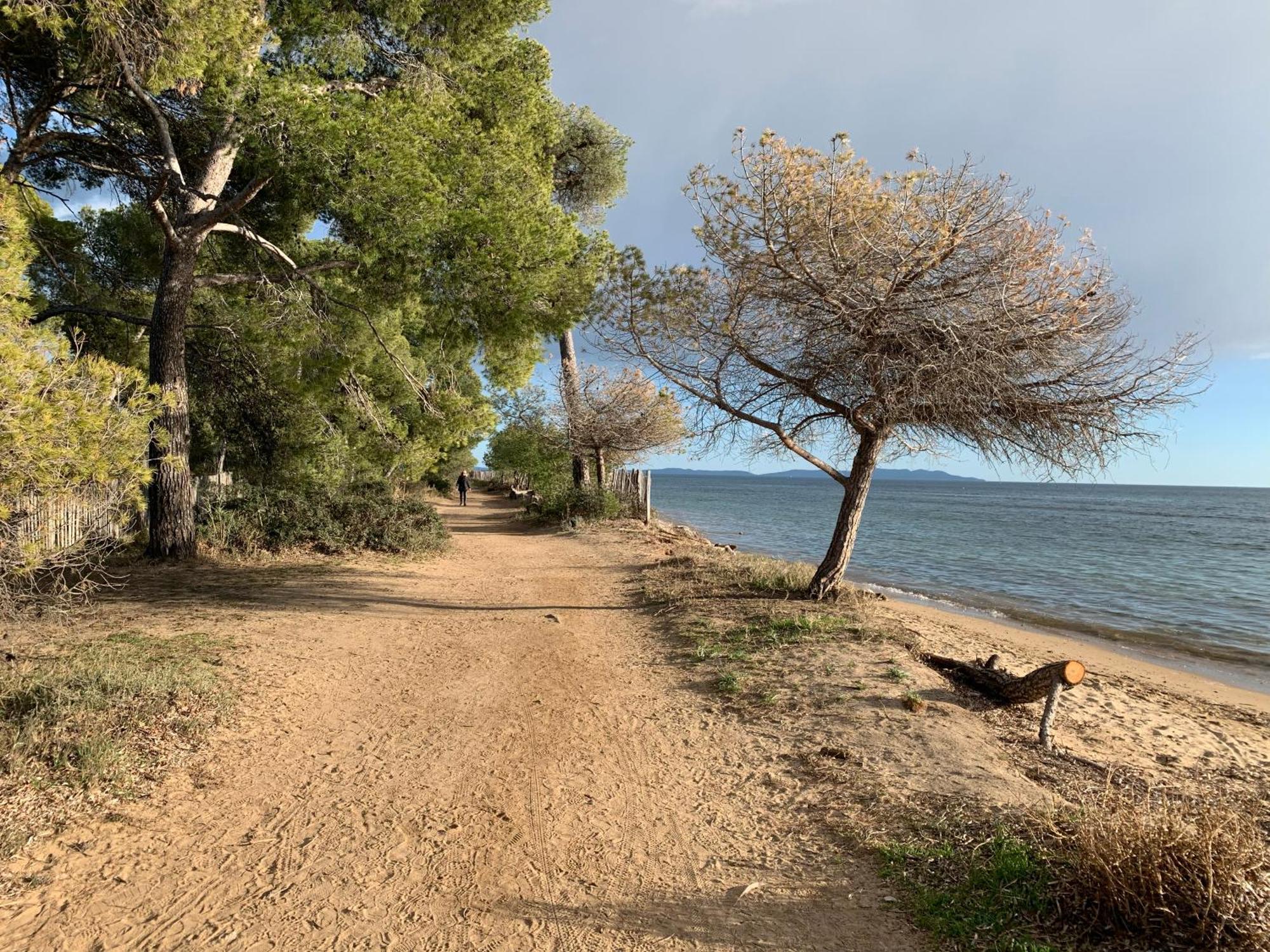 Joli Studio Tres Clair A Proximite Mer Pour 3 Personnes La Londe-les-Maures Esterno foto
